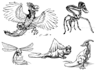 Fauna