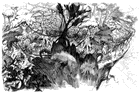 Jungle Sketch