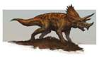 Triceratops