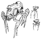 Covenant Scarab