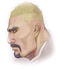 Gongora - Face