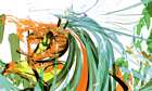 Shingen & Kenshin