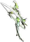 Mori Motonari