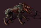 Feral - Morph
