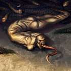 Worm