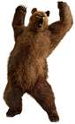 Kuma