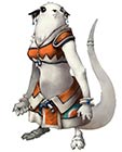 Shugo Female