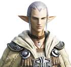 Elezen Male