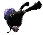 Spriggan