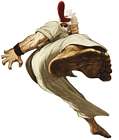 Mr. Karate
