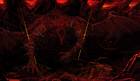 Dragon God