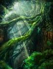 Jungle Illustration