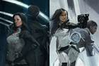 Miranda Lawson Concepts