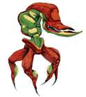 Scrab