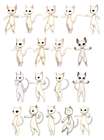 Summoner Cat Pet Concepts