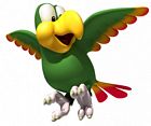 Squawks