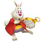 White Rabbit