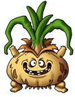 Ornery Onion