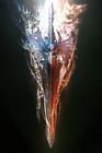 Soul Calibur & Soul Edge