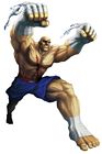 Sagat