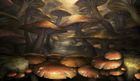 Mushrooms