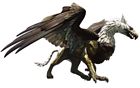 Griffin