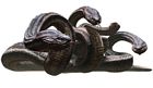Hydra