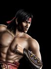 Liu Kang Portrait