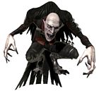 Vulture