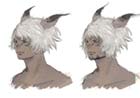 Miqo'te Male Face