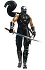 Ryu Hayabusa