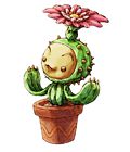 Li'l Cactus