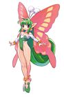 Papillon