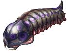 Larva