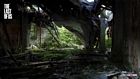 Collapsed Roof