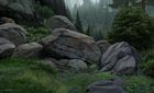 Wilderness