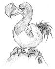 Dodo