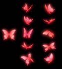 Crimson Butterflies