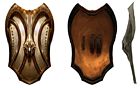 Shield Concept Art
