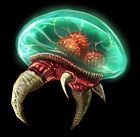 Tallon Metroid