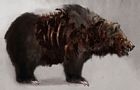 Zombie Bear