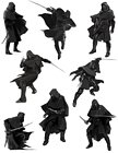 Corvo Poses