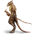 Desert Tribe Rat