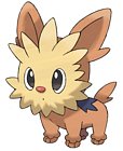 Lilipup