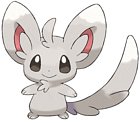 Minccino