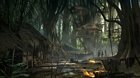Jungles