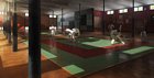 Karate Training