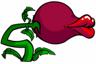 Plant