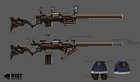 Caitlyn's Rifle