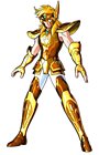 Aquarius Hyoga